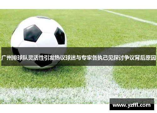 广州排球队灵活性引发热议球迷与专家各执己见探讨争议背后原因