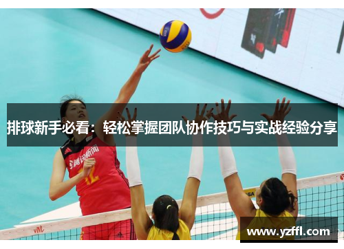 排球新手必看：轻松掌握团队协作技巧与实战经验分享