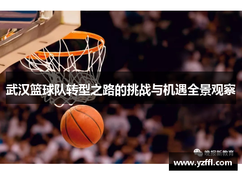 武汉篮球队转型之路的挑战与机遇全景观察
