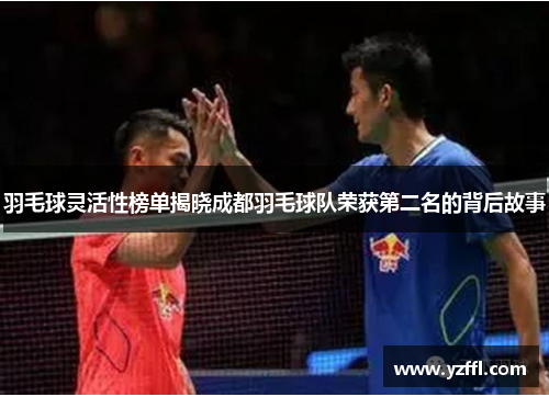 羽毛球灵活性榜单揭晓成都羽毛球队荣获第二名的背后故事